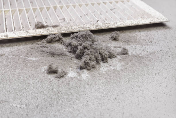Affordable HVAC Duct Cleaning in AK