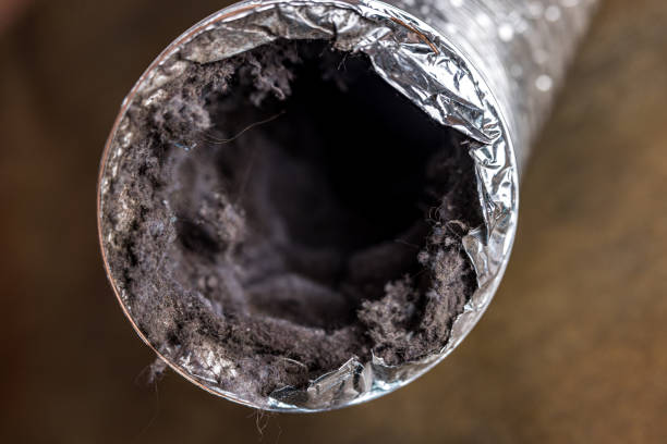 Best Air Duct Cleaning Near Me  in Big Le, AK