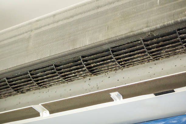 Best Commercial HVAC Duct Cleaning  in Big Le, AK